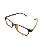 Autum Hue Tortoise Eyeglasses